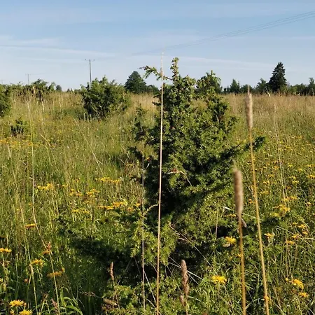 Suurekivi Kuelalistemaja Gasthuis *