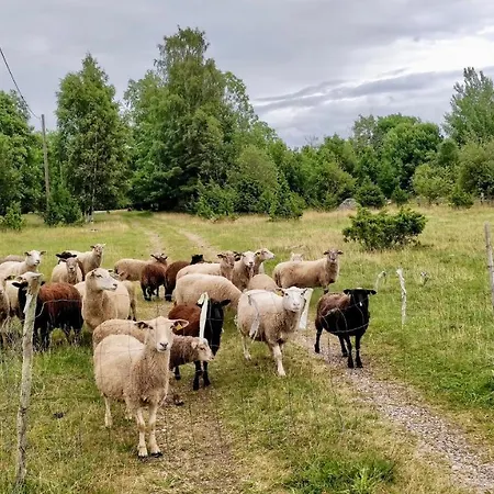 Suurekivi Kuelalistemaja * Reigi