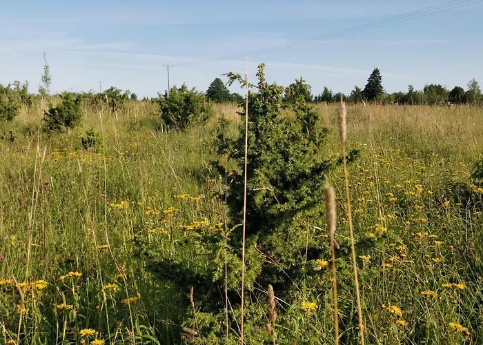 Suurekivi Kuelalistemaja בית הארחה *