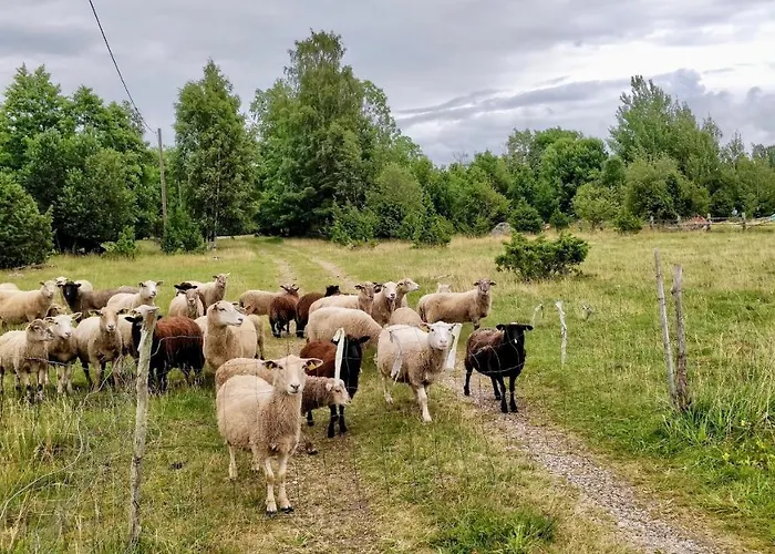 Suurekivi Kuelalistemaja * Reigi